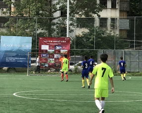 CBA季后赛：辽宁男篮“三杀”新疆男篮 挺进四强