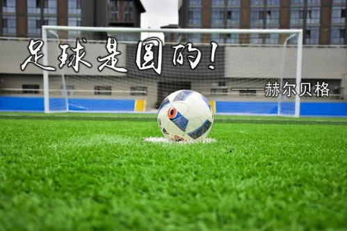 皇马庆祝