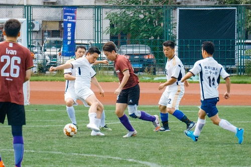 足球 本菲卡 西甲 皇家马德里 欧冠 穆里尼奥 葡超 五洲