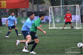 国家男篮短训营：杨瀚森等三名青岛男篮球员入选