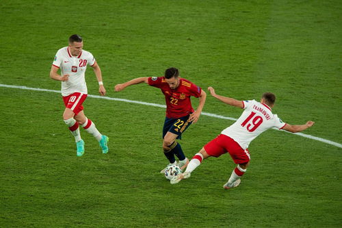 欧冠：无缘开门红 曼城队0-0国际米兰队